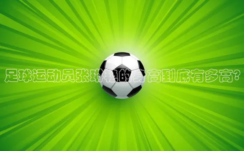 杏耀平台娱乐百度翻译