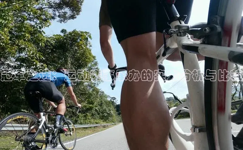 杏耀平台登陆测速
